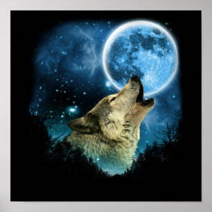 Affiche Loups gris Skylight 2