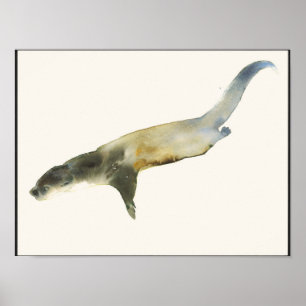 Affiche Loutre européenne