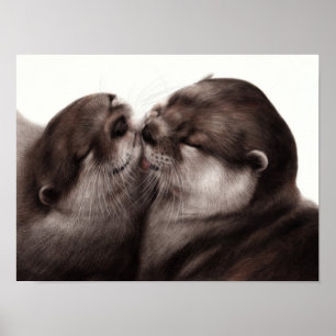 Affiche Loutres qui s'embrassent - Art animalier peint à l