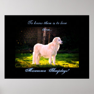 Affiche Love Maremma