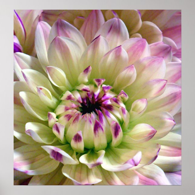 Affiche Love Spreading_Poster (Devant)