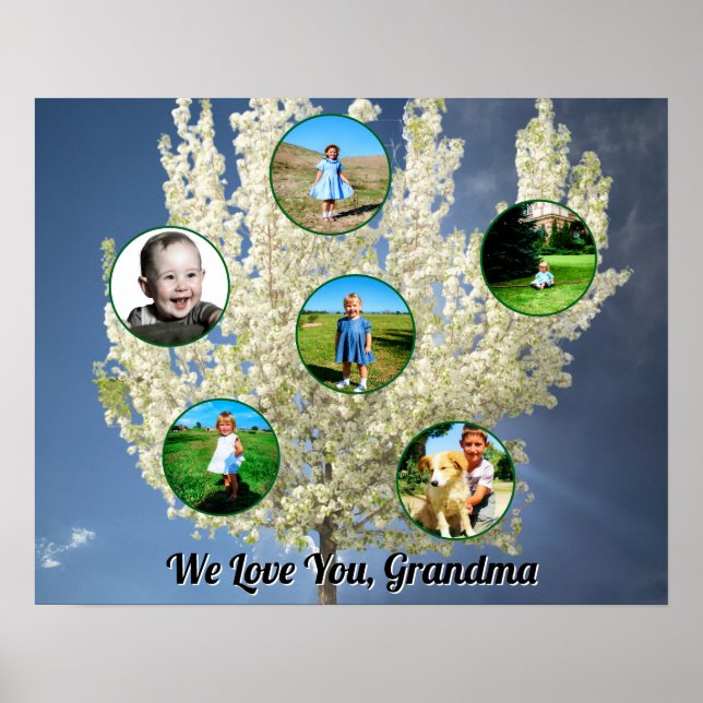 Affiche Love You Grandma White Blossoming Tree Six Photos  (Devant)