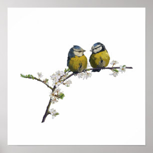 Affiche Lovebirds assis sur une branche de fleurs de ceris