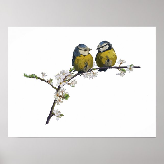 Affiche Lovebirds assis sur une branche de fleurs de ceris (Devant)