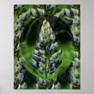 Affiche Lovely Lupine Abstrait Floral Art