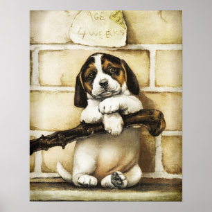 Affiche Lovely Puppy