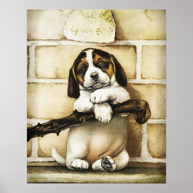 Affiche Lovely Puppy (Devant)