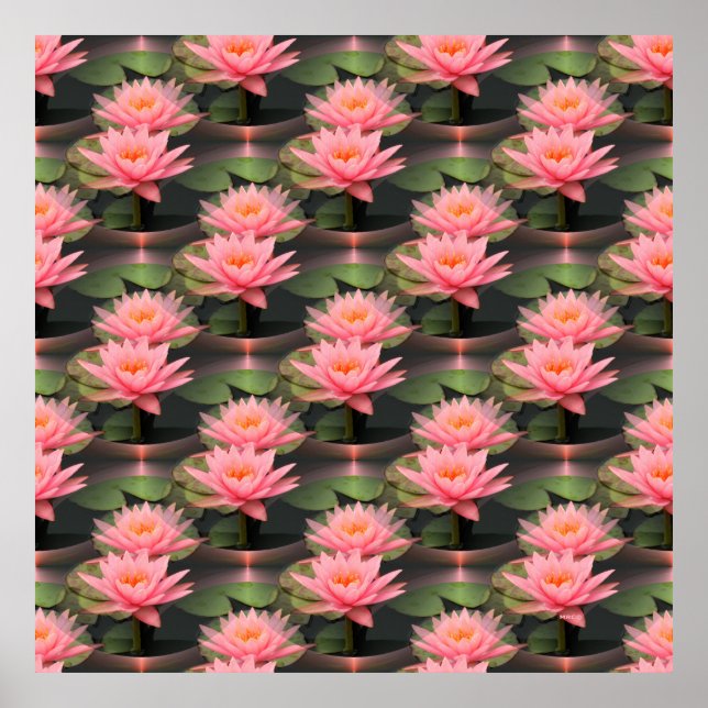 Affiche Lovin' Lilies.... (Devant)