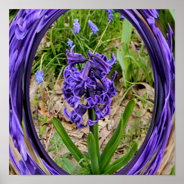 Affiche Loving Spring Garden.... (Devant)