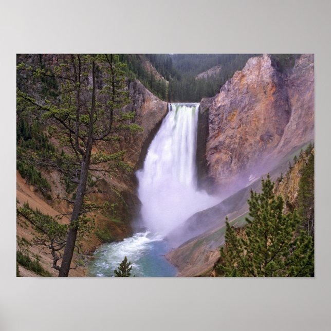 Affiche Lower Yellowstone Falls, Grand Canyon de (Devant)