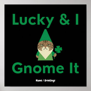 Affiche Lucky & I Gnome ça drôle Chat sarcastique St Patr