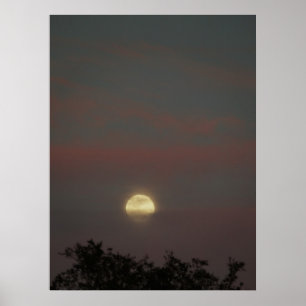 Affiche Lueur de Pleine lune