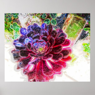 Affiche Lueur électrique