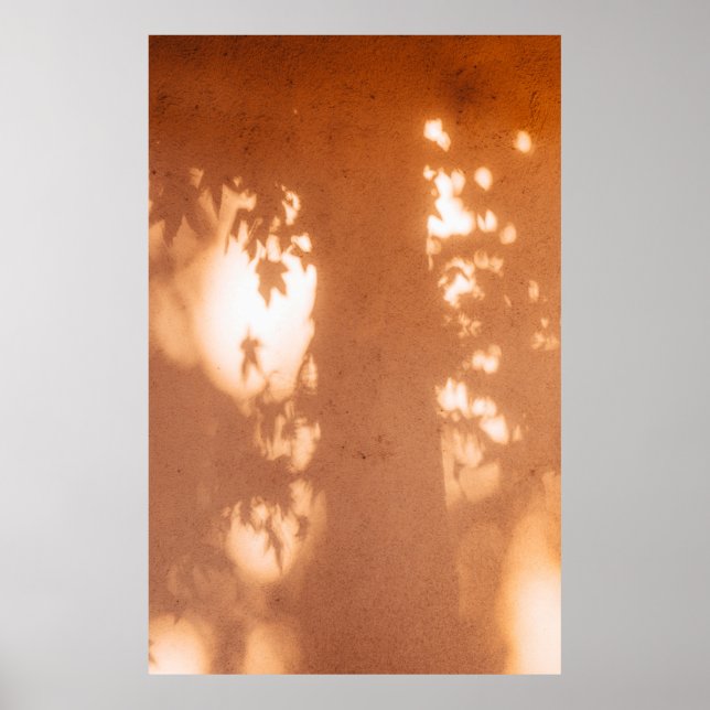 Affiche Lumière (Devant)