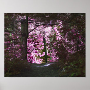 Affiche Lumière À La Fin De La Nature Du Chemin