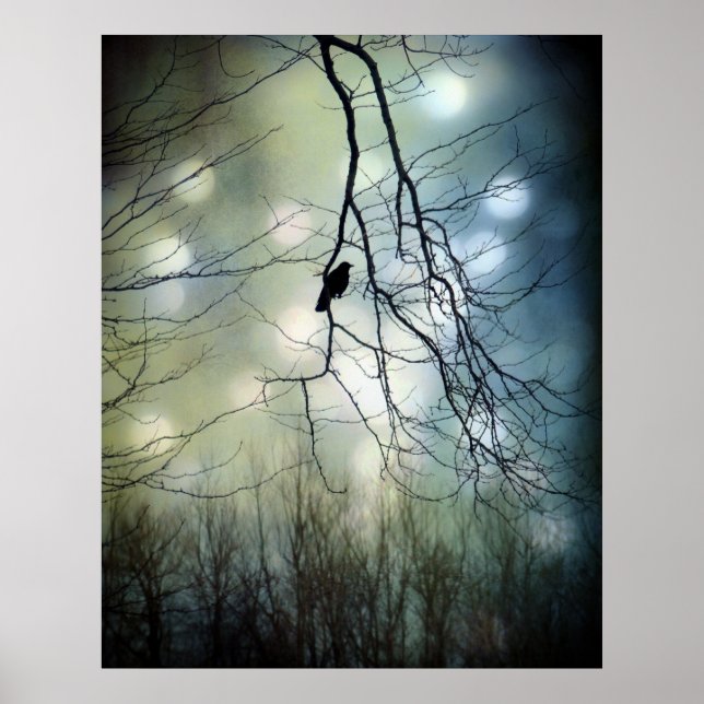 Affiche Lumière bleue (Devant)