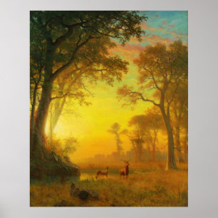 Affiche Lumière dans la forêt