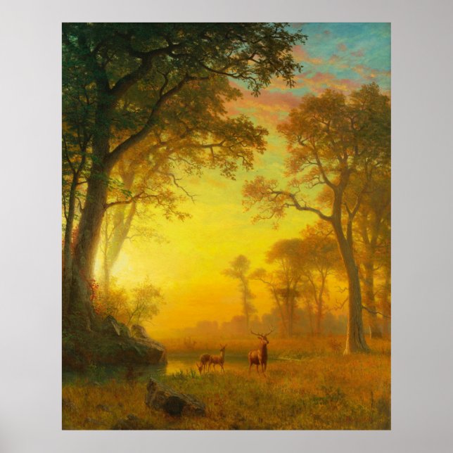 Affiche Lumière dans la forêt (Devant)