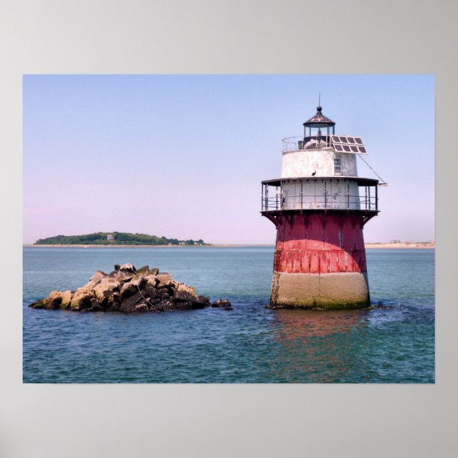 Affiche Lumière de bogue (Devant)