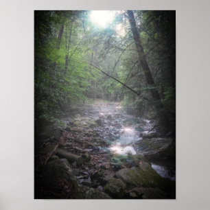 Affiche Lumière de forêt de rêve