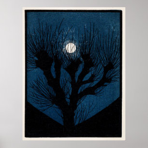 Affiche Lumière de la lune