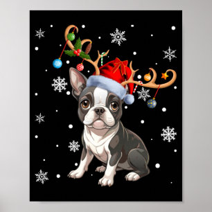 Affiche Lumière de Noël Renne Chapeau de Père Noël Boston