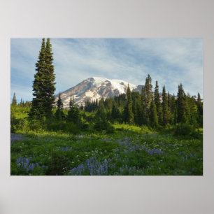 Affiche Lumière du matin du Mont Rainier