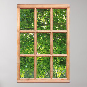 Affiche Lumière du soleil à travers les feuilles Vue d'une