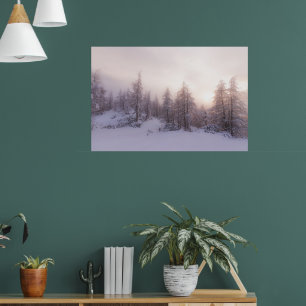 Affiche Lumière du soleil et forêt d'épicéas