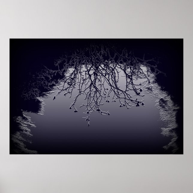 Affiche Lumière et obscurité (Devant)