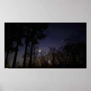 Affiche Lumière nocturne,