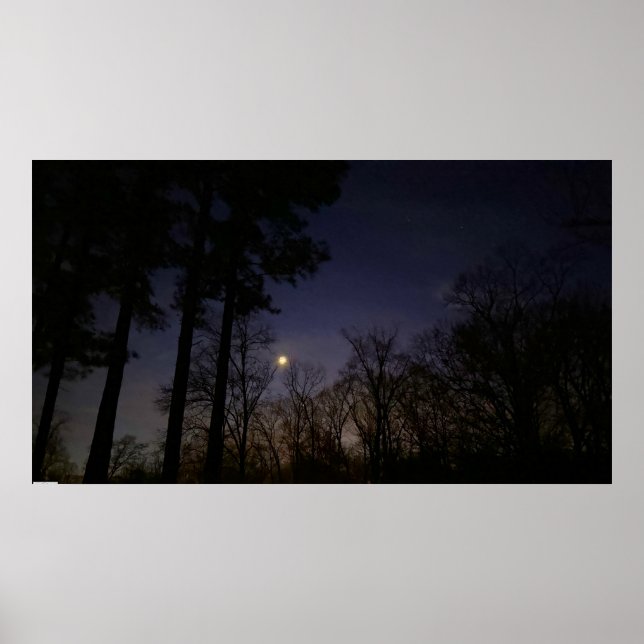 Affiche Lumière nocturne, (Devant)