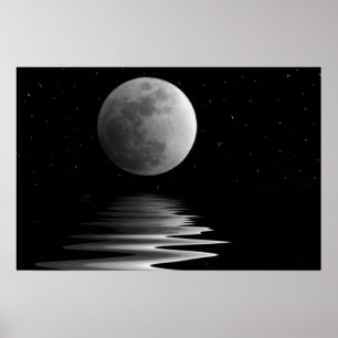 Affiche Lumière nocturne