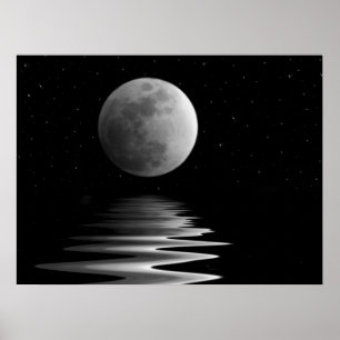 Affiche Lumière nocturne