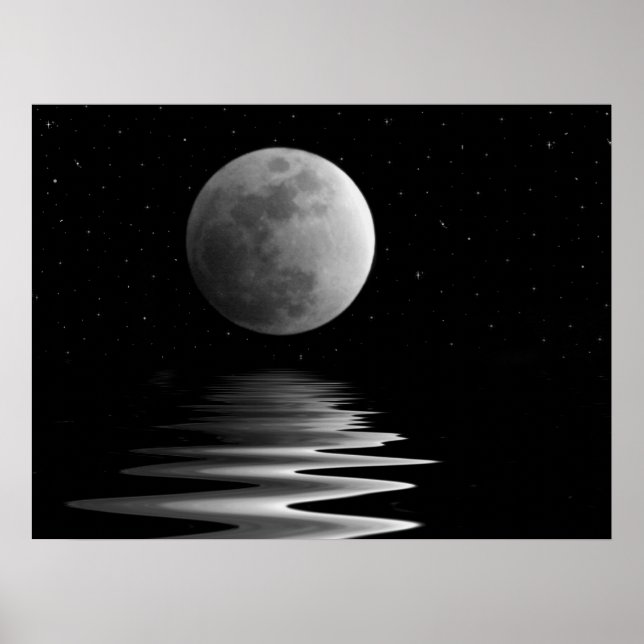 Affiche Lumière nocturne (Devant)