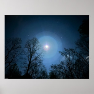 Affiche Lumière nocturne,