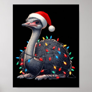 Affiche Lumières de Noël d'autruche Fundy Santa Hat Joyeux