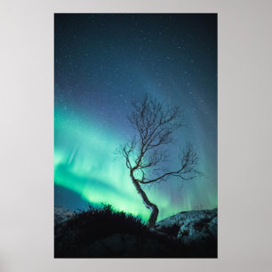 Affiche Lumières du Nord