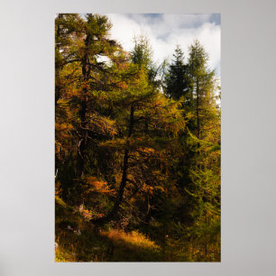 Affiche Luminaire d'Europe dorée aux couleurs de l'automne