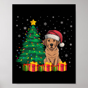 Affiche Luminaires de Noël du lagon laide du Labrador Sant