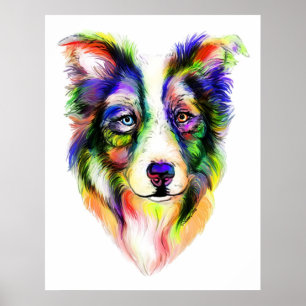 Affiche lumineuse de border collie