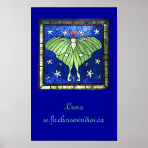 Affiche Luna Moth