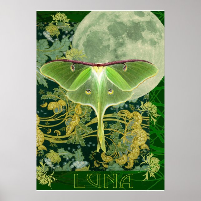 Affiche Luna Moth and Moon Poster, Green Nature Collage (Devant)