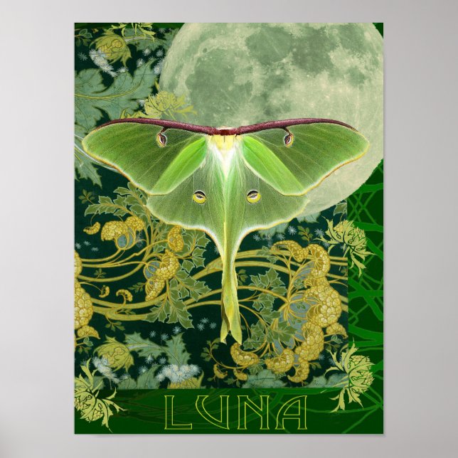 Affiche Luna Moth and Moon Poster, Green Nature Collage Po (Devant)