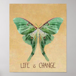Affiche Luna Moth Imprimer La vie est en train de changer