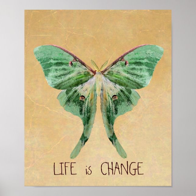Affiche Luna Moth Imprimer La vie est en train de changer (Devant)