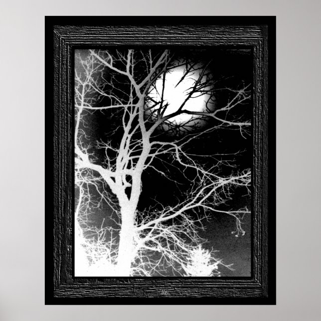 Affiche Lune (Devant)