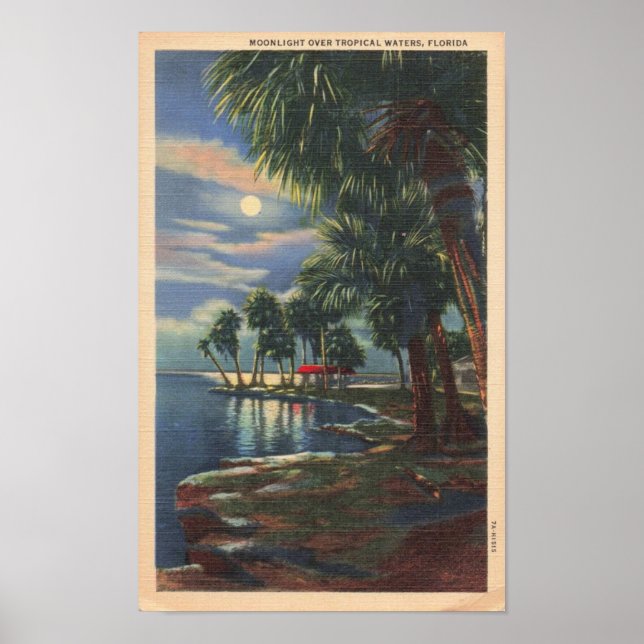 Affiche Lune au-dessus des eaux tropicales de Floride (Devant)