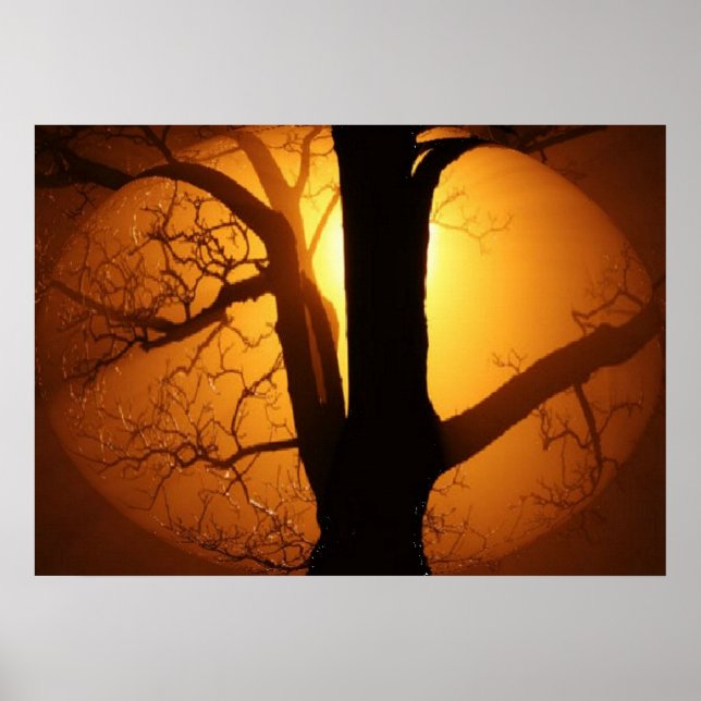 Affiche Lune d'automne brillant à travers l'impression d'a (Devant)