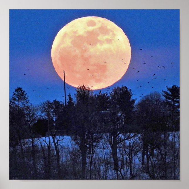 Affiche Lune de neige 2017 (Devant)